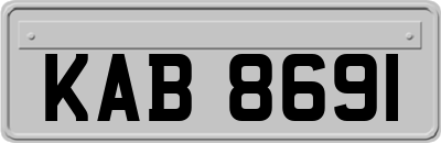 KAB8691