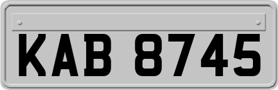 KAB8745