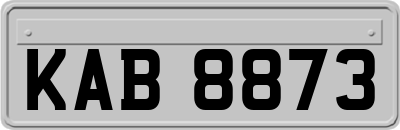 KAB8873