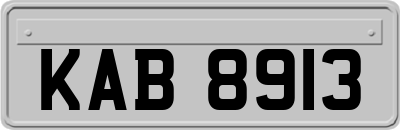 KAB8913