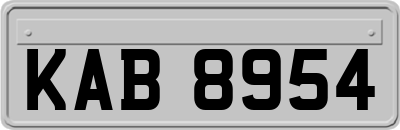 KAB8954