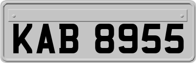 KAB8955