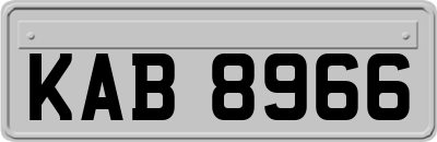 KAB8966