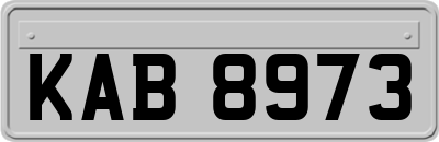 KAB8973