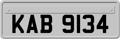 KAB9134