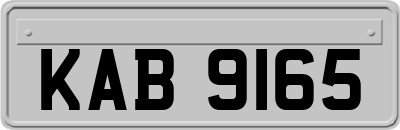 KAB9165