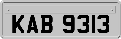 KAB9313