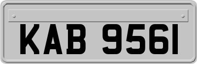 KAB9561