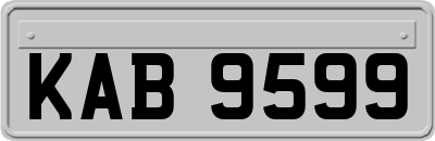 KAB9599
