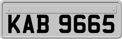 KAB9665