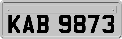 KAB9873