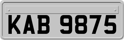KAB9875