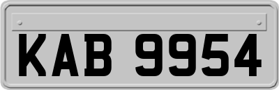 KAB9954