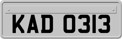 KAD0313