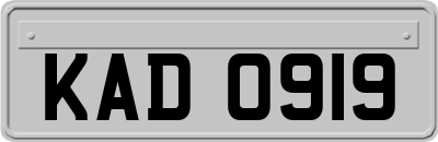 KAD0919