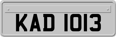 KAD1013