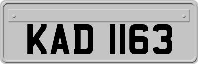 KAD1163