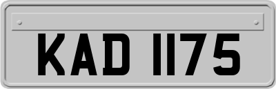 KAD1175