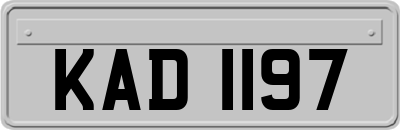 KAD1197