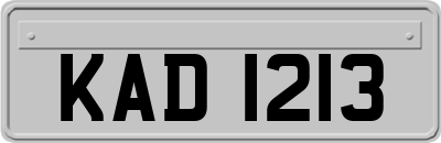 KAD1213