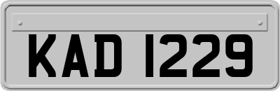 KAD1229