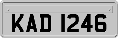 KAD1246