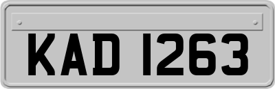 KAD1263