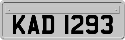 KAD1293