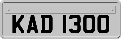 KAD1300