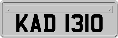KAD1310