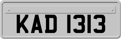 KAD1313