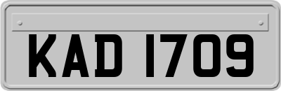 KAD1709