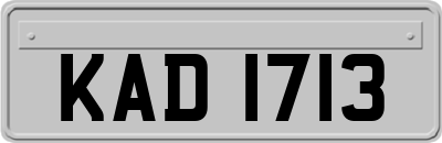 KAD1713