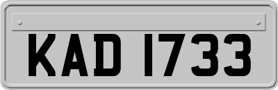 KAD1733