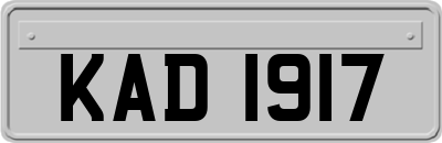 KAD1917