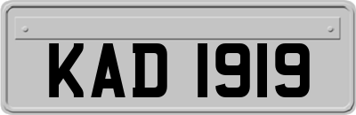 KAD1919