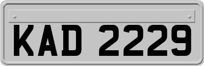 KAD2229