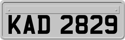 KAD2829