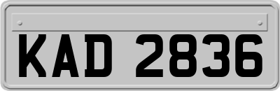 KAD2836