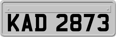 KAD2873
