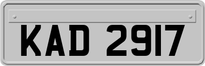 KAD2917