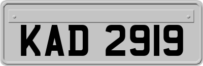 KAD2919