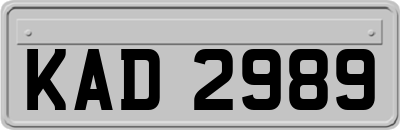 KAD2989