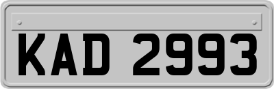 KAD2993