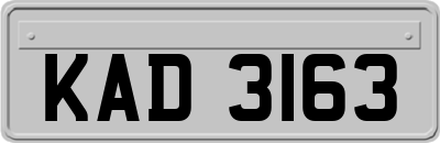 KAD3163