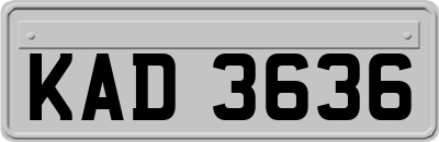 KAD3636