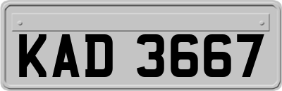 KAD3667