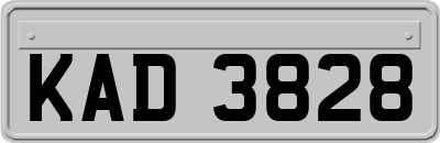 KAD3828