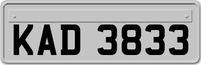 KAD3833
