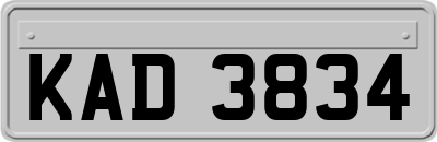 KAD3834